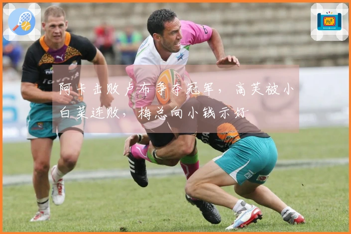 阿卡击败卢布争夺冠军，高芙被小白菜连败，梅总向小钱示好