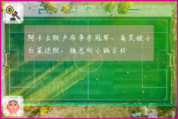 阿卡击败卢布争夺冠军，高芙被小白菜连败，梅总向小钱示好