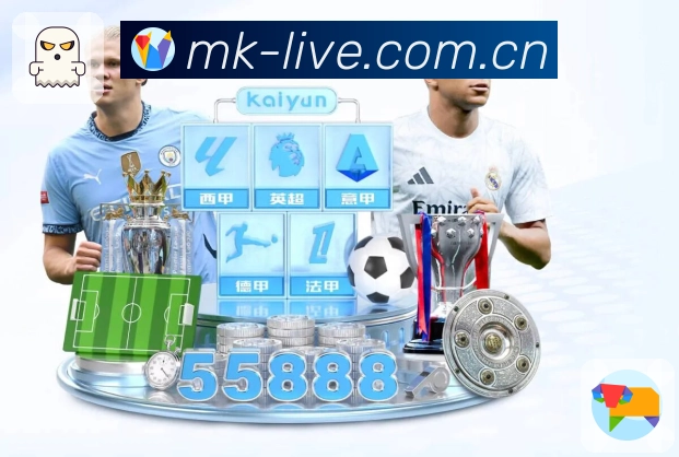 全球访问热力分布图